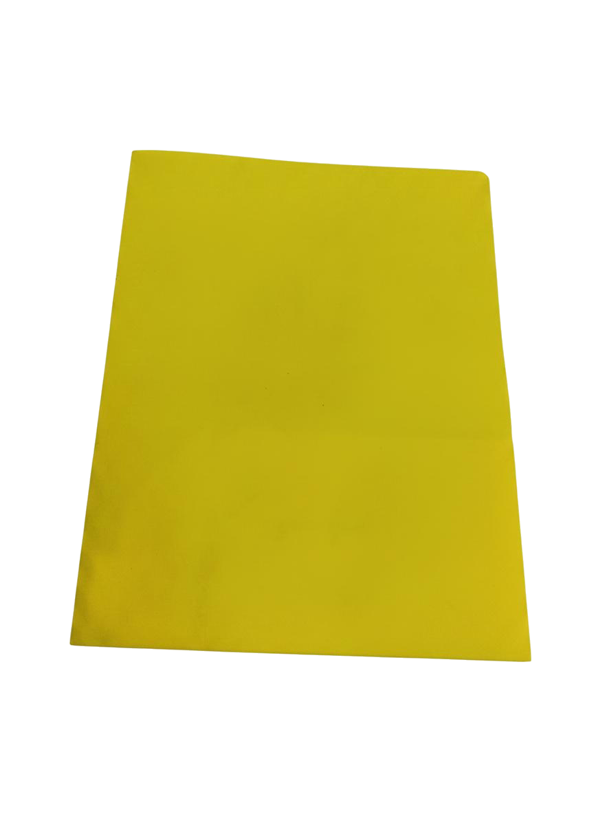 CARPETA DOBLE SOLAPA A4 BAZIC