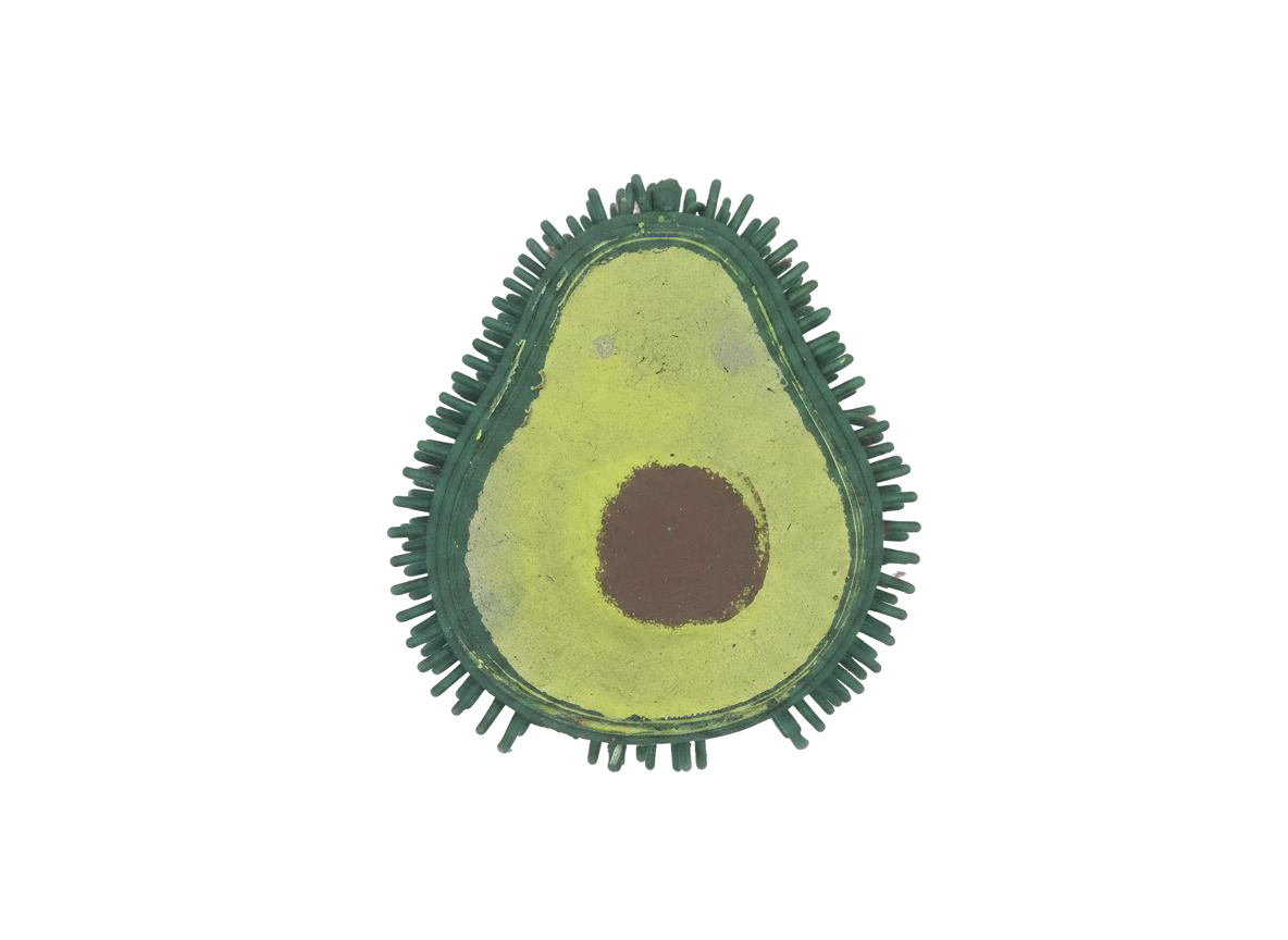 SQUISH AGUACATE