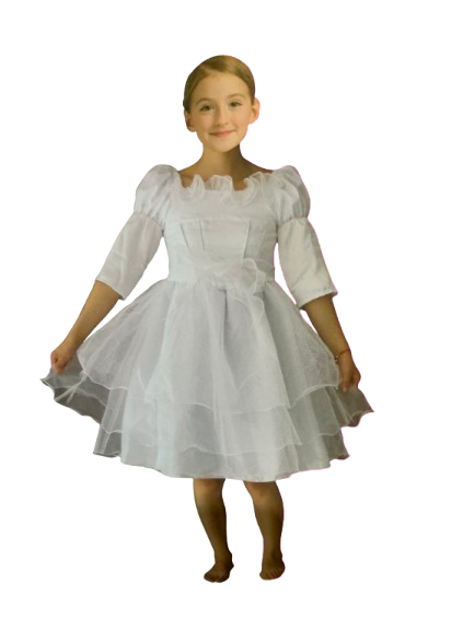 DISFRAZ REINA BLANCA NINA T11-14