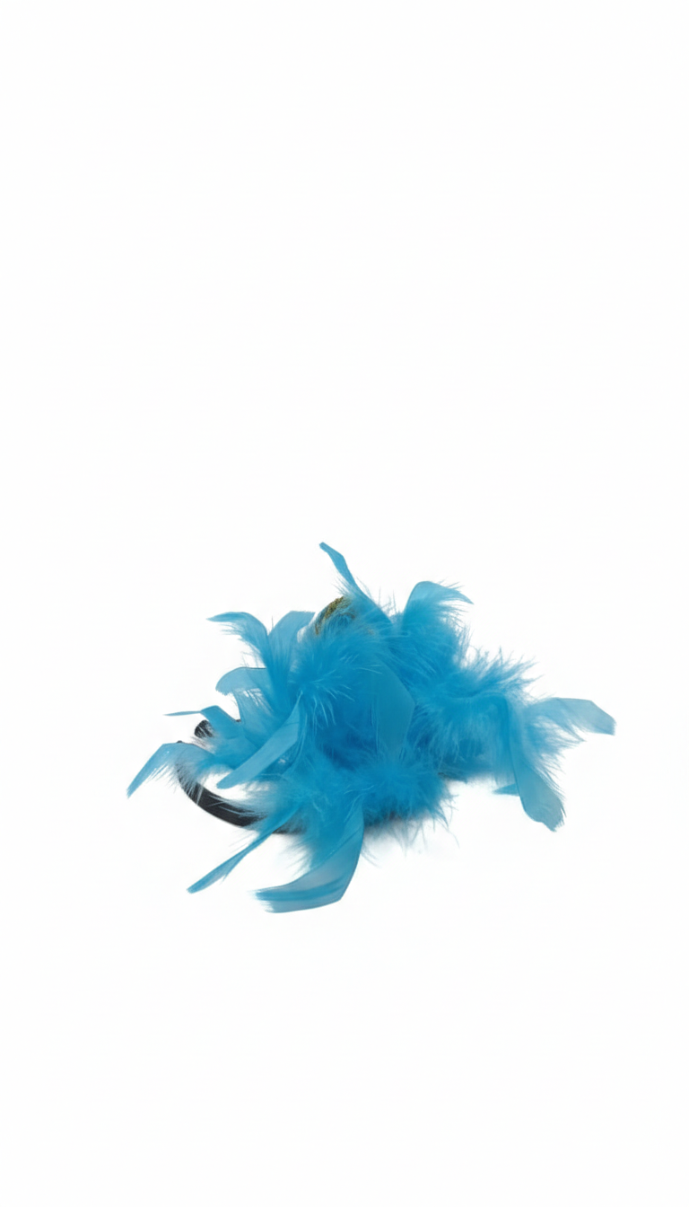 CINTILLO LENTEJUELA CON PLUMAS