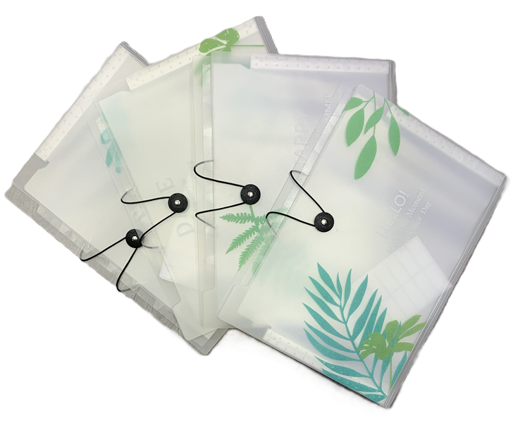 ARCHIVADOR ESPANDIBLE A6 8DIV TRANSPARENTE HOJA