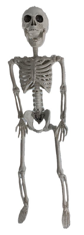 ESQUELETO  COLGANTE BLANCO