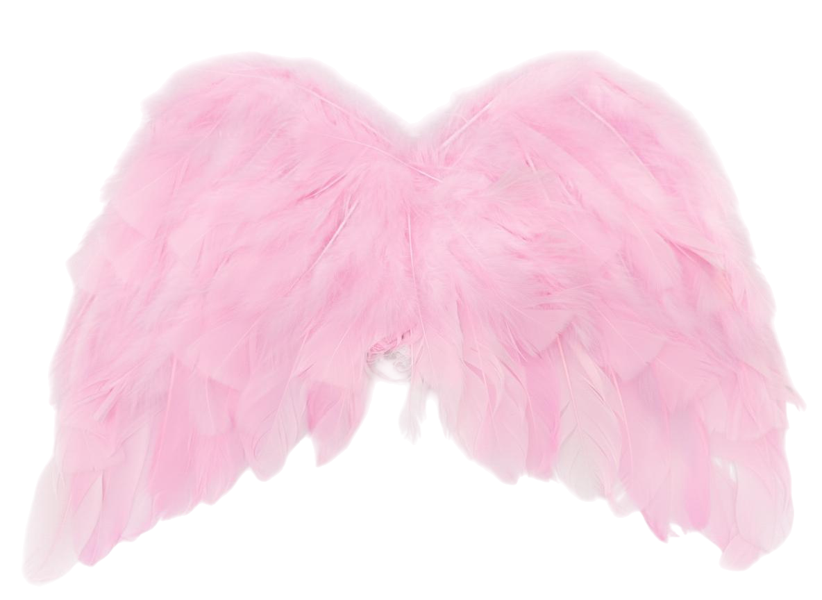 ALAS DE ANGEL CON PLUMAS