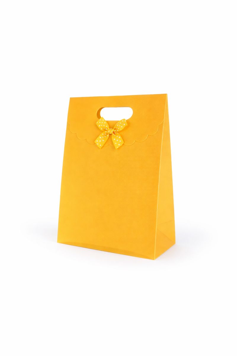 BOLSA DE REGALO UNICOLOR CON LAZO 21*15*7