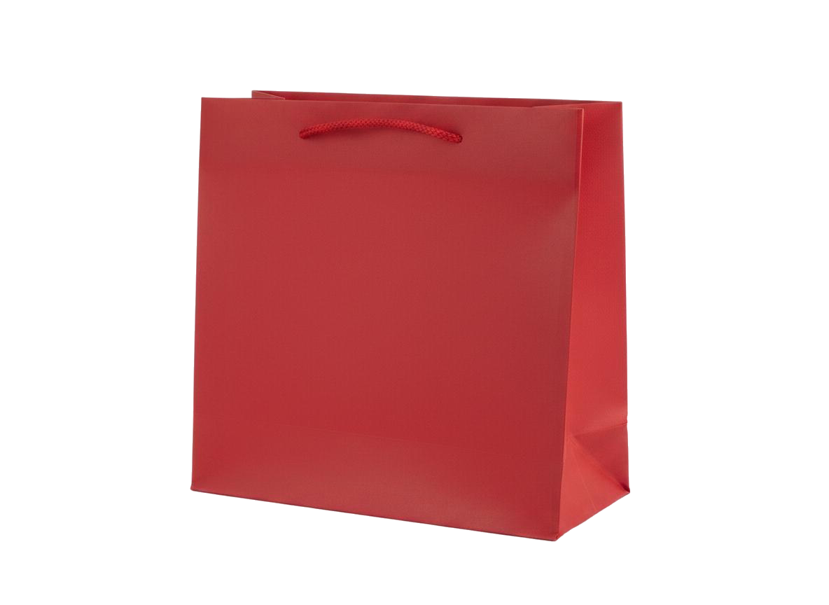 BOLSA DE REGALO UNICOLOR 22*18*