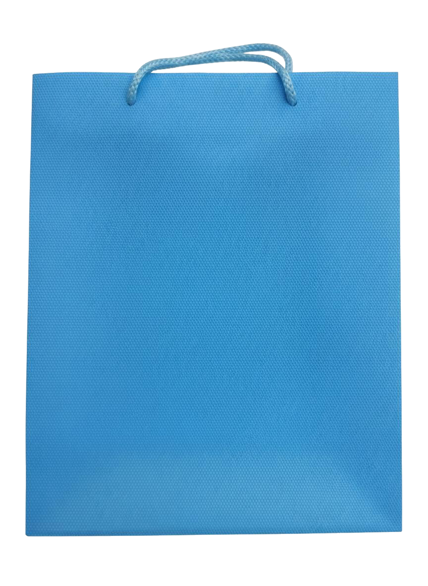 BOLSA DE REGALO UNICOLOR 22*18*