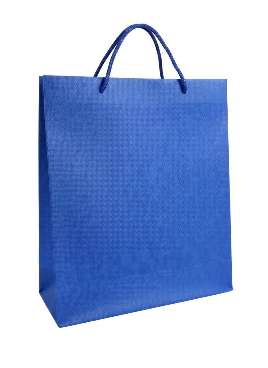 BOLSA DE REGALO UNICOLOR 27*23*8