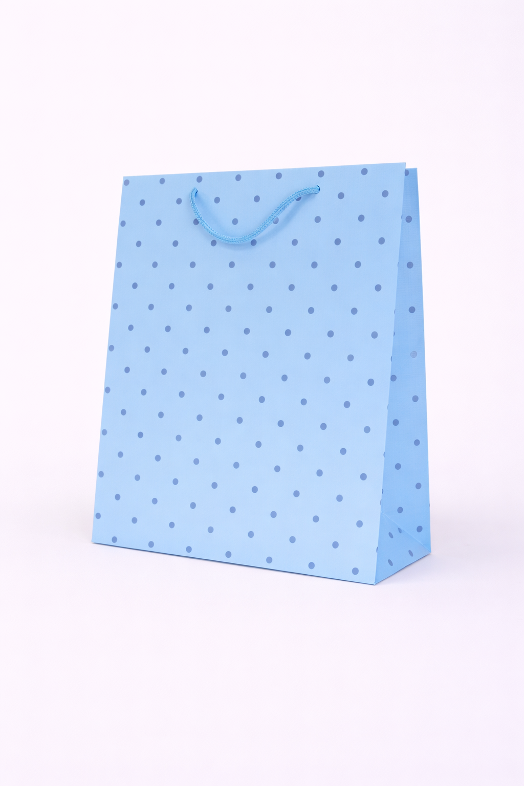 BOLSA DE REGALO CON PUNTOS 23*8*27