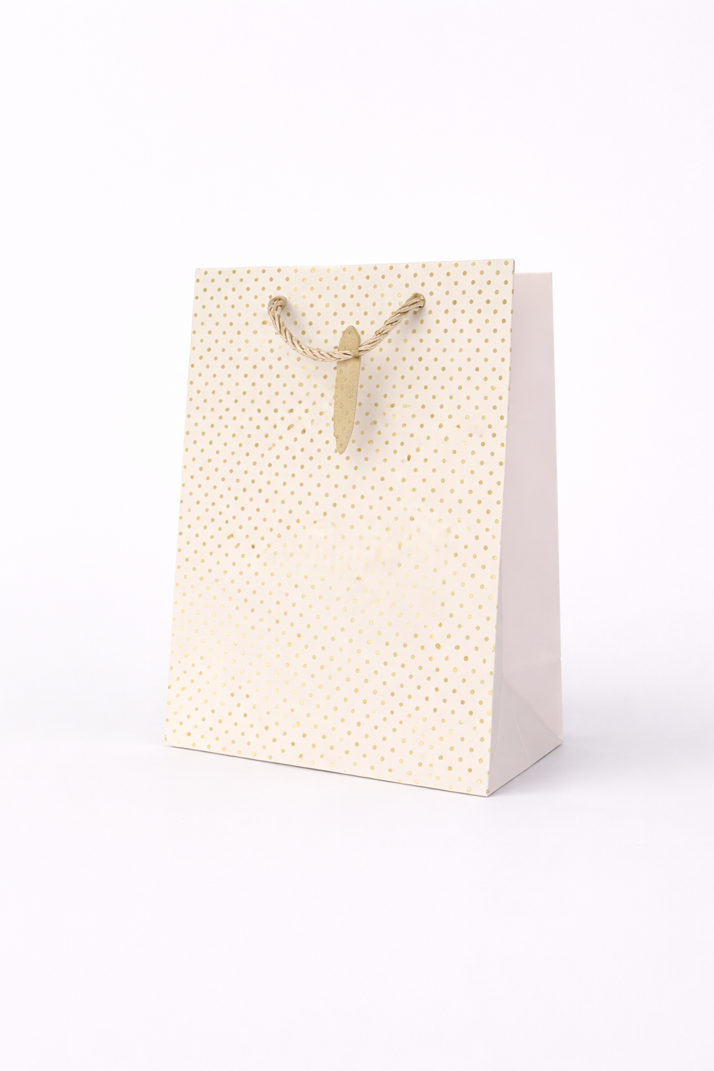 BOLSA DE REGALO PUNTOS ESA VARIOS 18*23*10