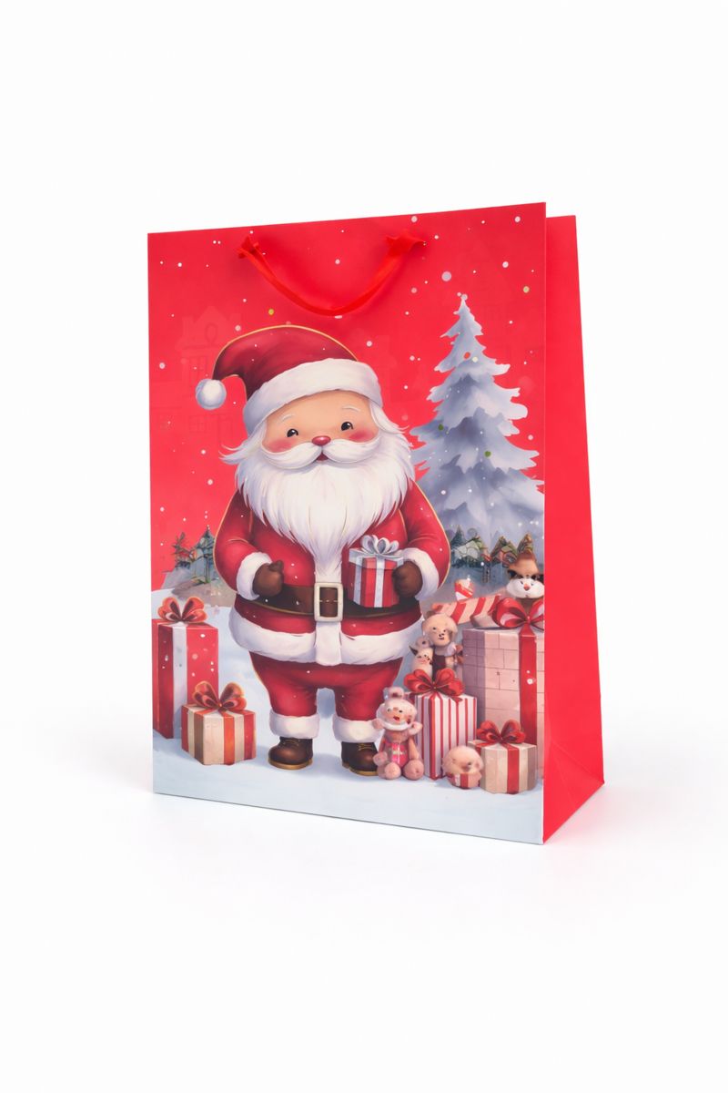 BOLSA DE REGALO 30*42*12