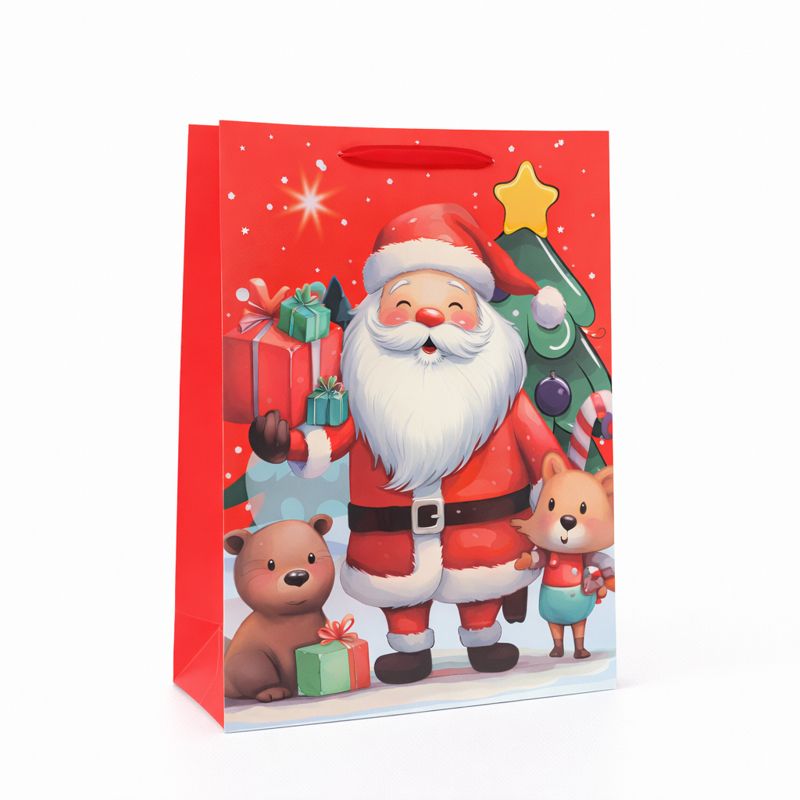 BOLSA DE REGALO 30*42*12