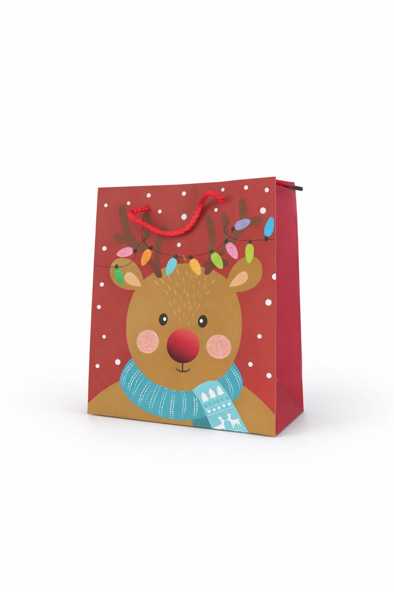 BOLSA DE REGALO NAVIDEÑA SANTA