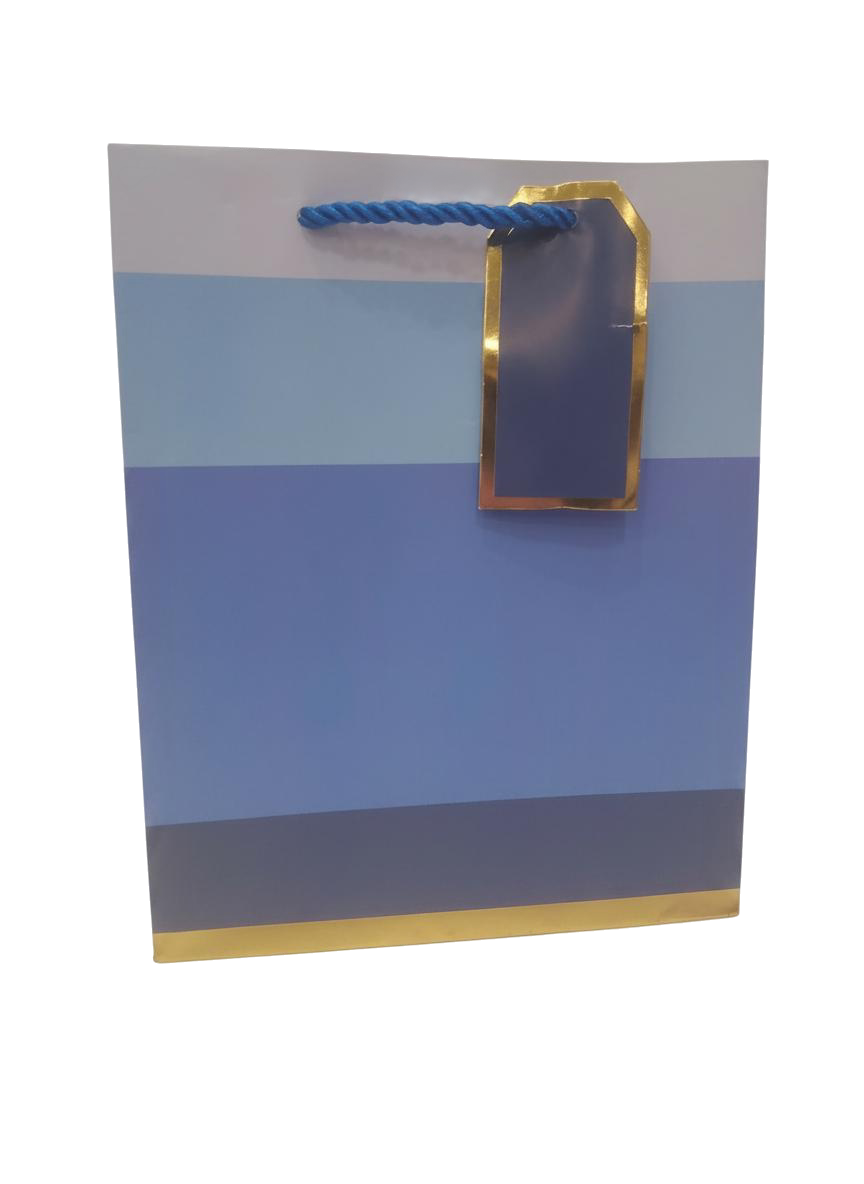 BOLSA DE REGALO FRANJA HORIZONTAL 18*23*10