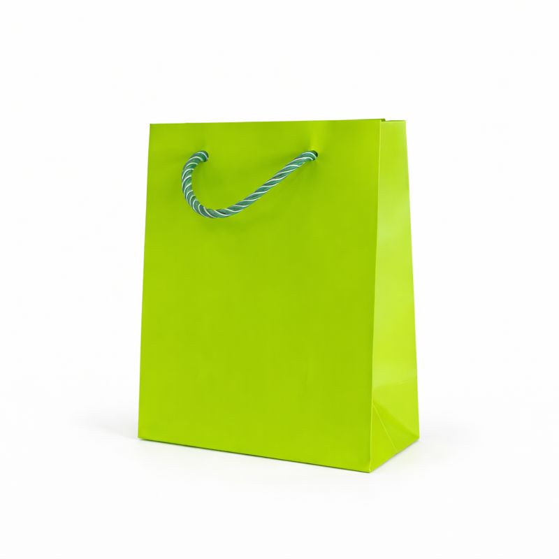 BOLSA DE REGALO UNICOLOR VERTICAL 12*16*6.5