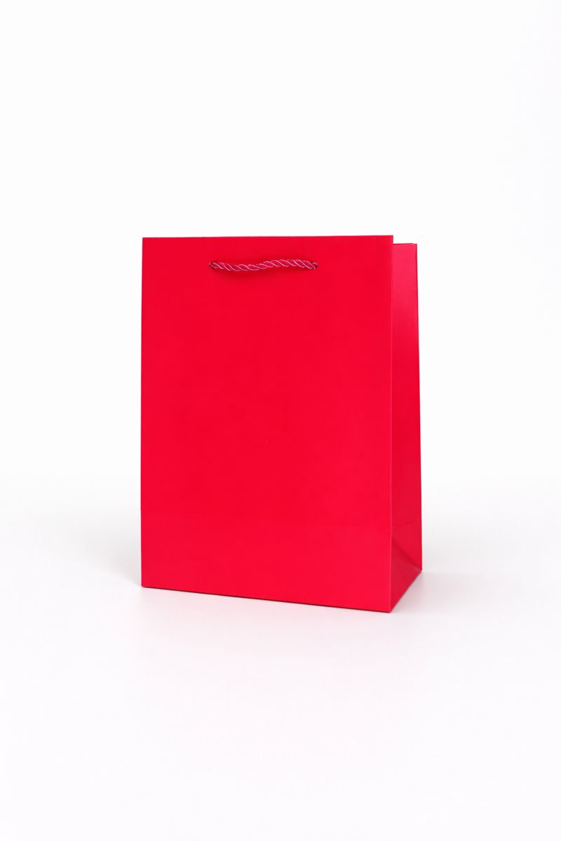 BOLSA DE REGALO UNICOLOR VERTICAL 18*23*10