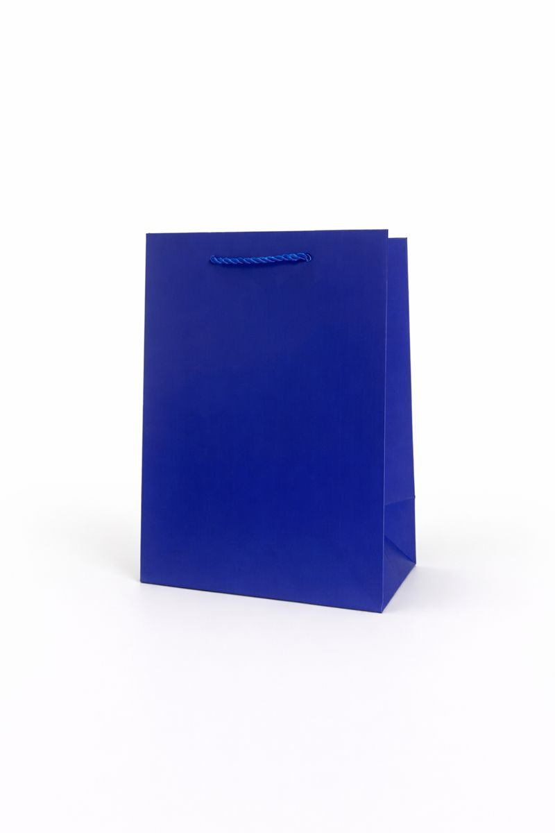 BOLSA DE REGALO UNICOLOR VERTICAL 18*23*10