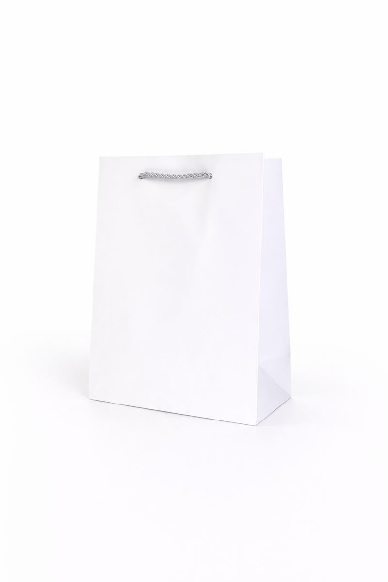 BOLSA DE REGALO UNICOLOR VERTICAL 18*23*10