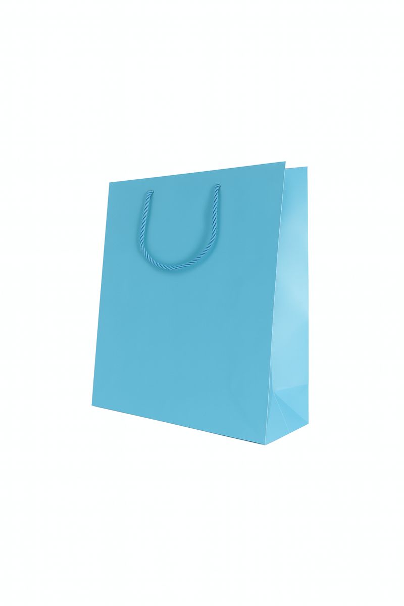 BOLSA DE REGALO UNICOLOR VERTICAL 26*32*10