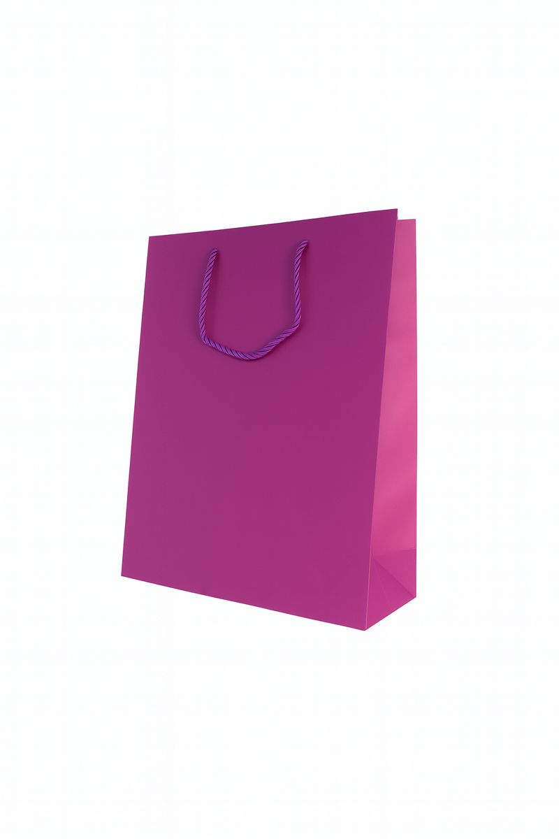 BOLSA DE REGALO UNICOLOR VERTICAL 26*32*10