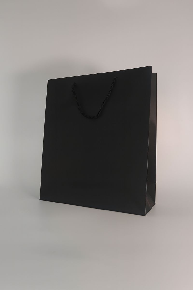 BOLSA DE REGALO UNICOLOR VERTICAL 26*32*10