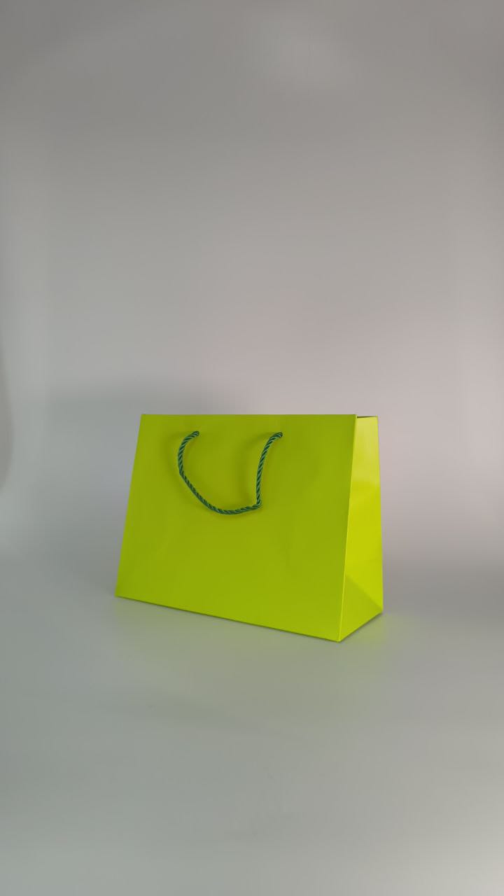 BOLSA DE REGALO UNICOLOR HORIZONTAL 17.7*23*10