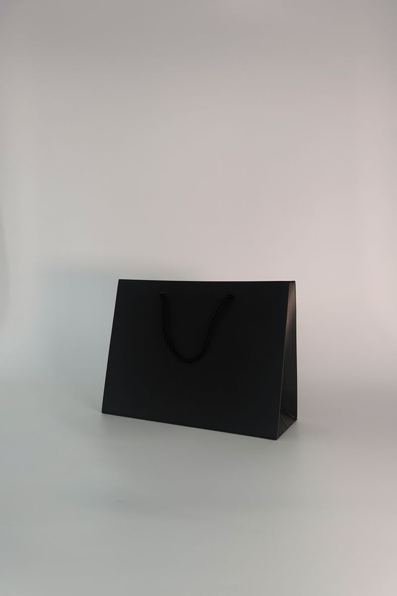 BOLSA DE REGALO UNICOLOR HORIZONTAL 17.7*23*10
