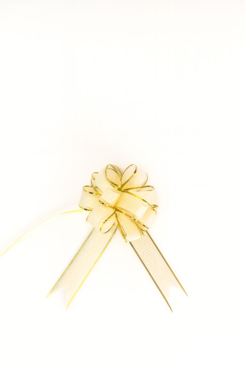 LAZO ARMABLE TEXTURIZADO BORDE "50"