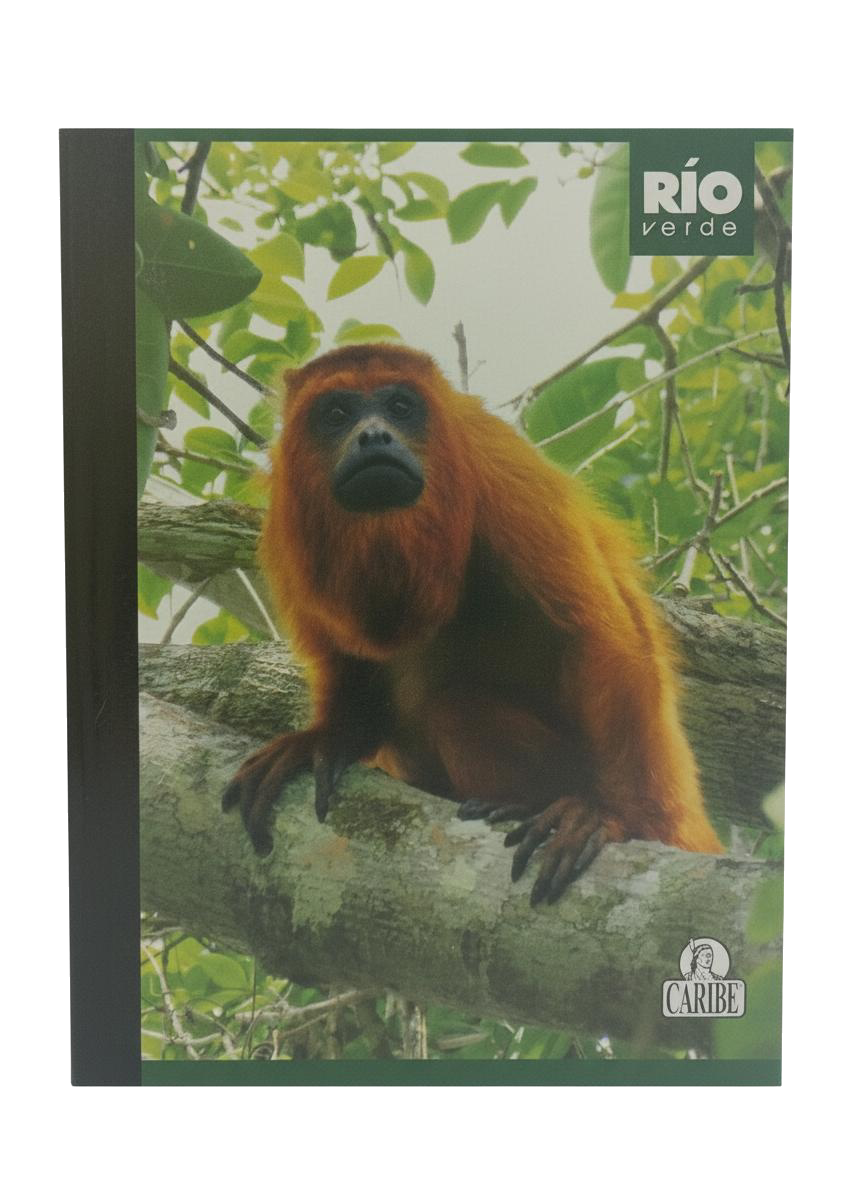 LIBRETA EMPAST CUADRIC 100 H BIOPLANET CARIBE