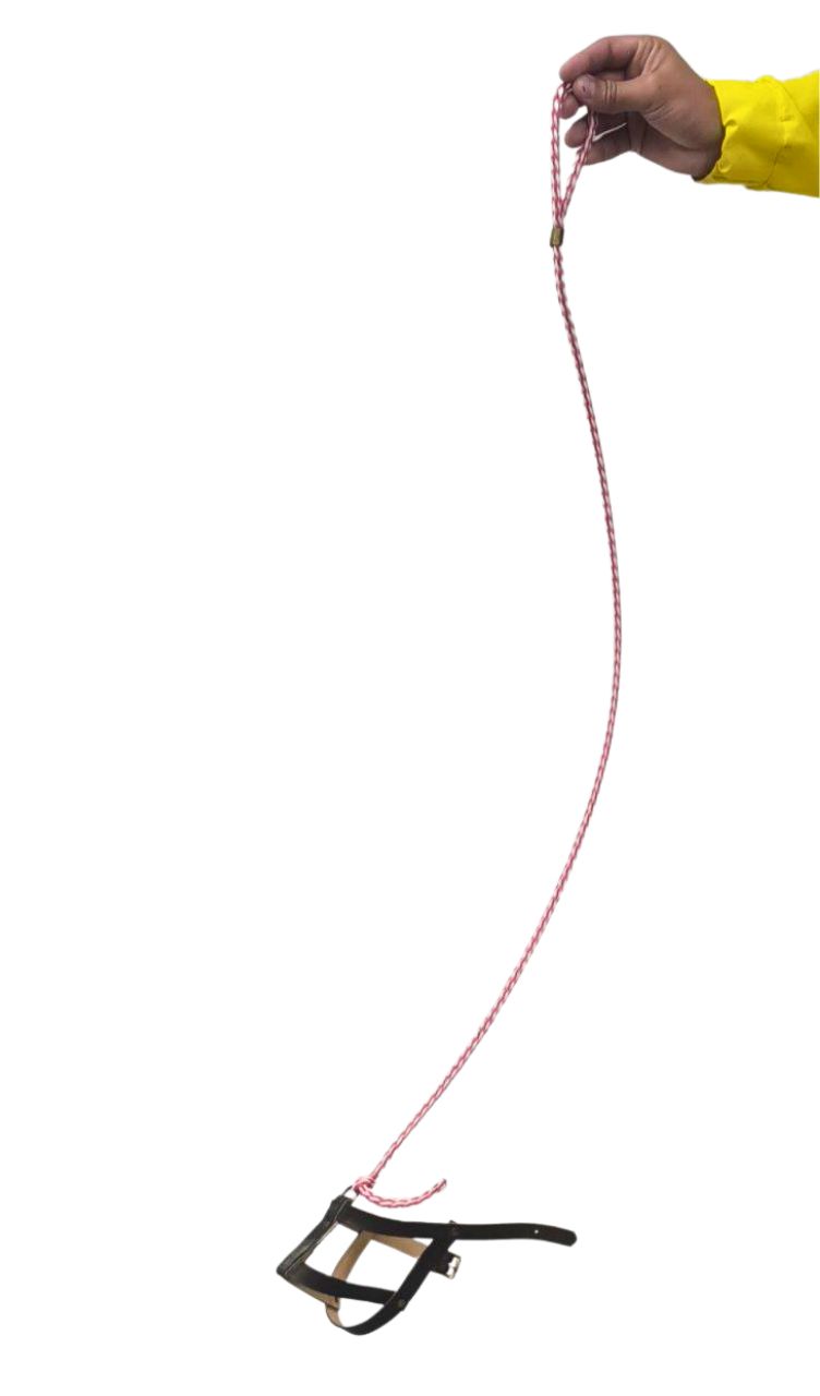 PECHERA PERRO INVISIBLE