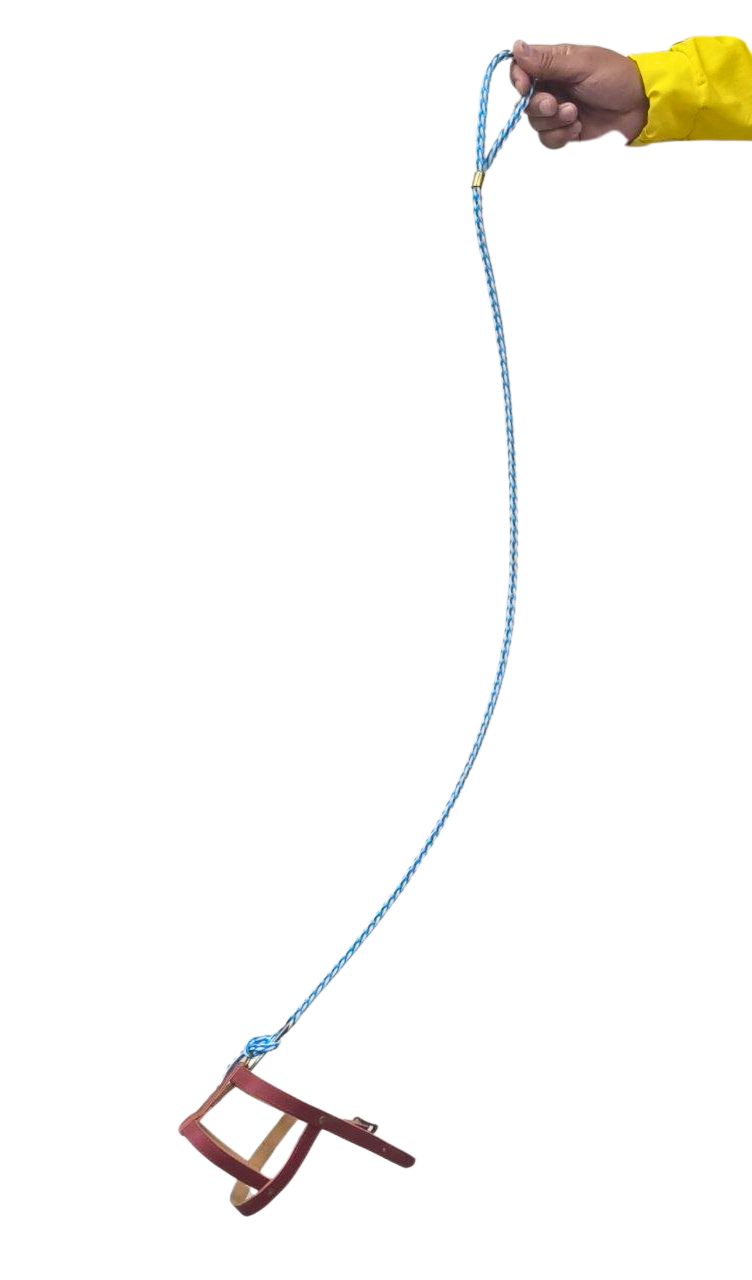 PECHERA PERRO INVISIBLE